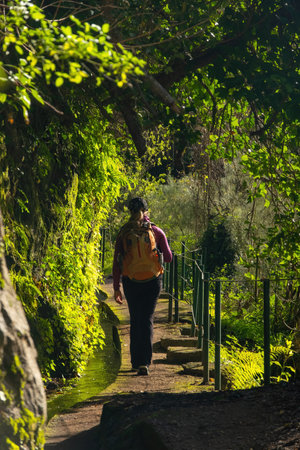 Tourist on Levada do Norte on the Portuguese island of Madeira. Levada irrigation canal. Hiking in Madeira. Narrow path next to the levada. Green tropical plantsの写真素材