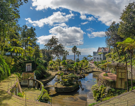 A picturesque Monte Palace tropical garden in Funchal on Madeira. Reflective pond surrounded by lush, vibrant greenery and architectural structuresの写真素材