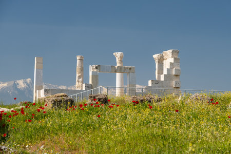 The ancient city of Aphrodisias. Archaeological and historical sites of modern Turkeyの写真素材
