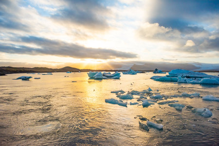 Golden sunset casts a warm glow over an Arctic landscape, highlighting iceberg formations in serene waters. Birds soar above, creating an atmosphere of tranquility and aweの写真素材