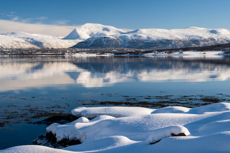 Snow covered coast of Norwegian fjord near Troms at Christmas time. A sunny winter day in Northern...