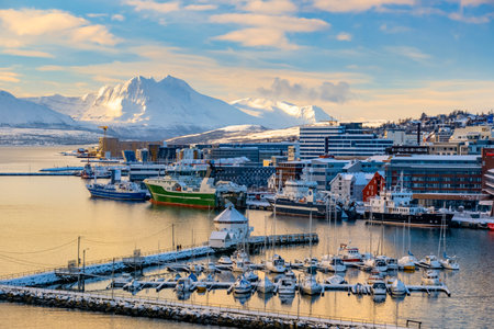 Snow-covered Troms harbor with docked boats and ships, nestled against a backdrop of snow-capped...