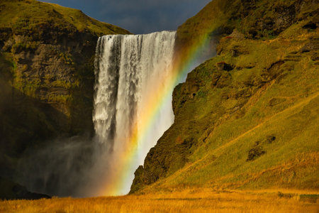 Skogafoss waterfall in Iceland cascades down a steep cliff, creating a powerful mist that forms a vibrant rainbow. The surrounding lush green landscape enhances its majestic beautyの写真素材