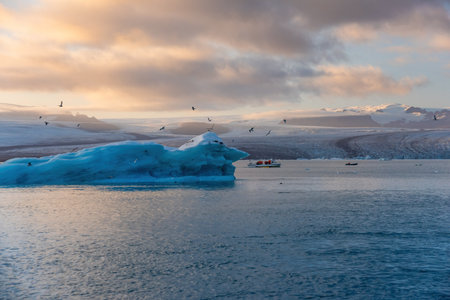 Golden sunset casts a warm glow over an Arctic landscape, highlighting iceberg formations in serene waters. Birds soar above, creating an atmosphere of tranquility and awe. Ice Lagoon in Icelandの写真素材
