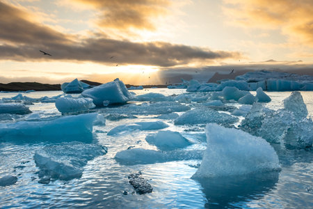 Icebergs float in Icelands glacier lagoon, reflecting the warm colors of sunset. Birds fly above,...