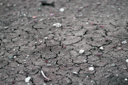 Drought will visit when this area is lacking in moisture or tree.の写真素材