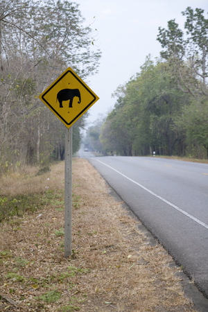 Warning elephantの写真素材