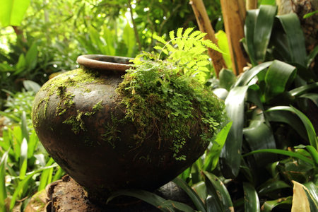 Clay Pot Jar with drinking water according to rural Thailand.の写真素材