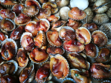 Cockles, food ingredients that have a delicious taste. Can be adapted to many menus such as stir-fry, boil, dip, grill.の写真素材