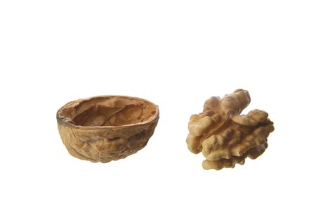 English walnut isolated on white