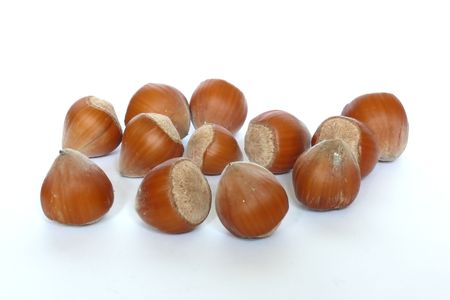 Hazel nuts isolated on white background