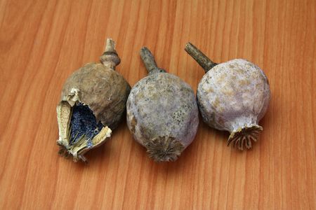 Poppy heads on the tableの写真素材