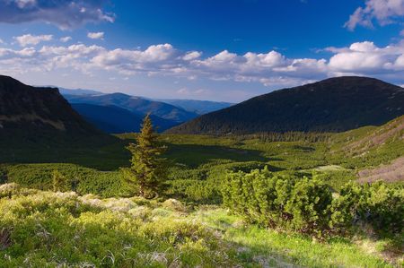 Summer landscape in mountains Carpathians, Ukraine