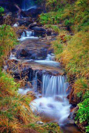 The cascade of the mountain river and yellow flowers