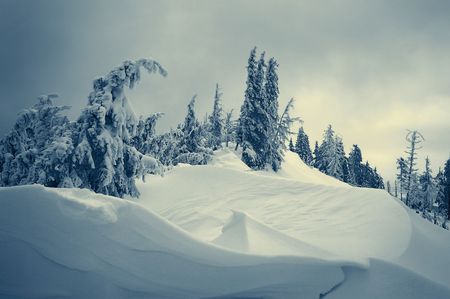 Winter landscape with snow in mountains Carpathians, Ukraineの写真素材