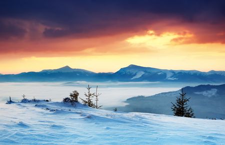 Winter landscape with snow in mountains Carpathians, Ukraine