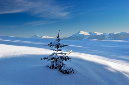 Winter landscape with snow in mountains Carpathians, Ukraineの写真素材