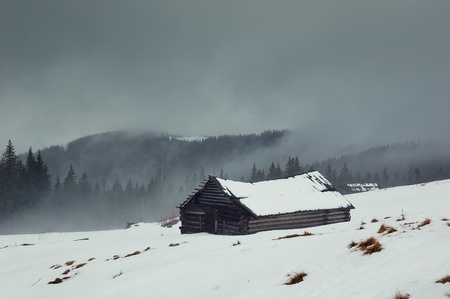 Winter landscape with snow in mountains Carpathians, Ukraine