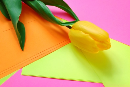 Three yellow tulips on a multi-coloured backgroundの写真素材