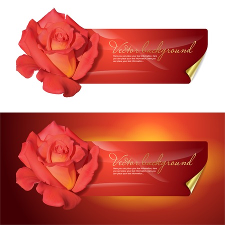 background for design with a red rose.のイラスト素材