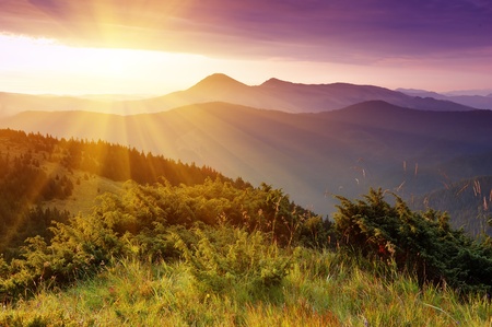 Summer landscape in mountains with the sun