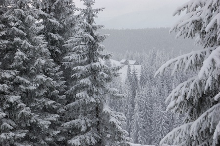 Winter landscape in mountains. Carpathians Ukraineの写真素材