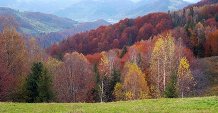 Autumn landscape in mountains. Ukraine, Carpathiansの写真素材