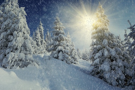 Winter landscape on a sunset. Mountains Carpathians, Ukraine 