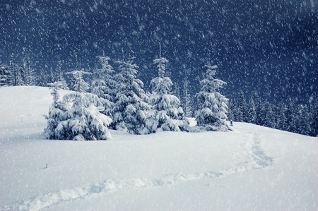 Winter landscape in mountains. Carpathians Ukraineの写真素材