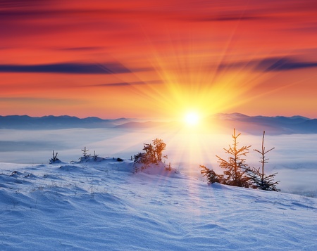Winter landscape on a sunset. Mountains Carpathians, Ukraine の写真素材