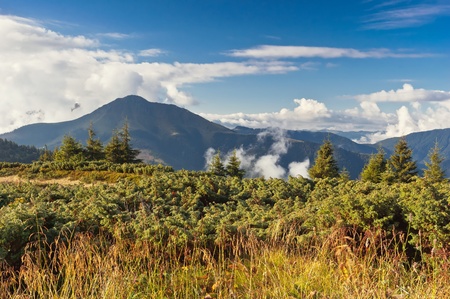Summer sunny landscape with a cloudy sky. Ukraine, the Carpathian mountains.の写真素材