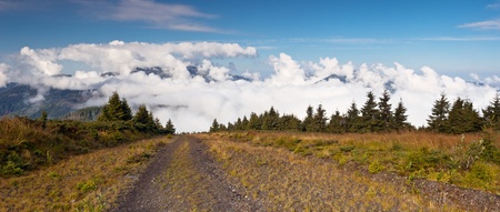 Summer sunny landscape with a cloudy sky. Ukraine, the Carpathian mountains.の写真素材