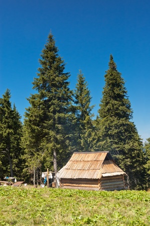 Summer landscape with a house in the mountains of the shepherds. Ukraine, the Carpathian mountainsの写真素材