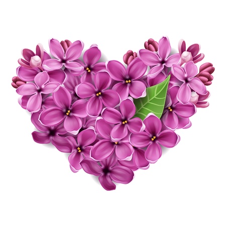 Flowers of a lilac in the form of a heart. An illustration on a theme of Valentine's dayのイラスト素材
