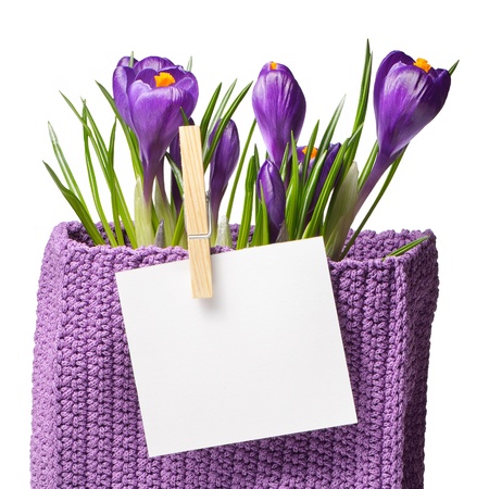 Vase with flowers and saffron sheet for text  Template for design of the spring themeの写真素材
