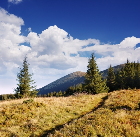 View from the trail in the mountains on a sunny dayの写真素材