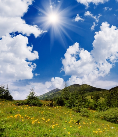 Summer landscape with yellow flowers in the mountainsの写真素材