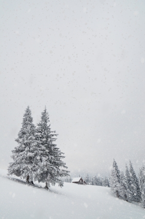 Winter landscape with house hunters in the mountains and snowfall  Carpathians, Ukraineの写真素材