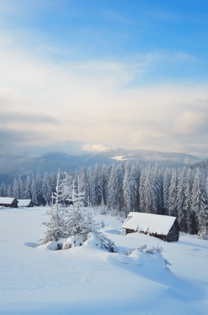 Winter day in the mountains  Ukrainian Carpathiansの写真素材