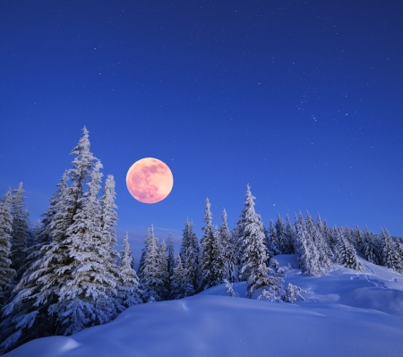 Winter landscape in the mountains at night  A full moon and a starry sky  Carpathians, Ukraine