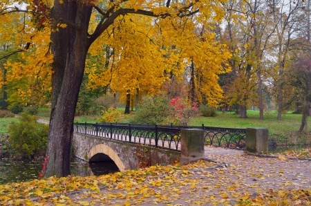 Bright autumnal landscape in the park with a bridge over the riverの写真素材