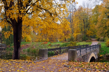 Autumn scenery in the park with a bridge over the riverの写真素材