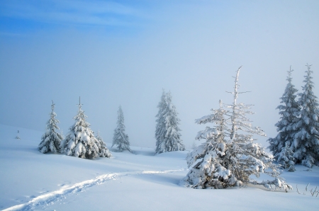 Winter landscape with fresh snow in the mountains  The path in the snowの写真素材