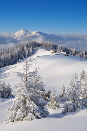 Winter landscape with the village of shepherds in a mountain valley  Trees in snowdrifts  Carpathian mountains, Ukraine, Europe  View of Mount Petrosの写真素材
