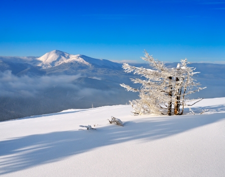 Bright sunny day in the mountains  Winter landscape with fresh snow  Carpathians, Ukraine, Europeの写真素材