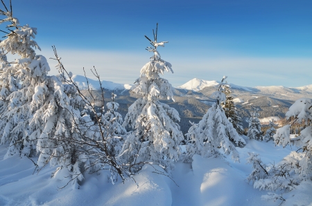 Winter landscape with clean snow in a mountain forest  Sunny day in a mountain valleyの写真素材