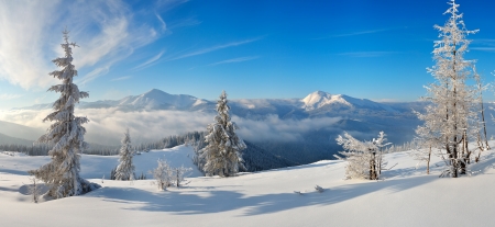 Landscape view of a winter day in a mountain valley  Carpathian mountains, Ukraine, Europeの写真素材
