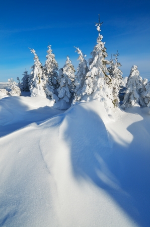 Winter landscape in the mountainsの写真素材