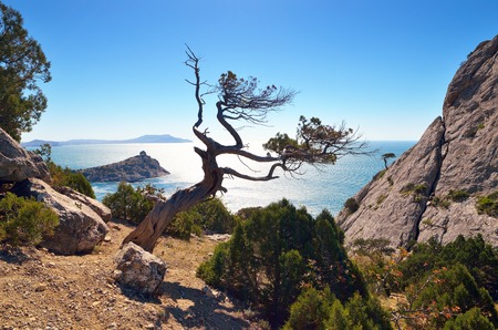Landscape with sea and mountains  Sunny day  Crimea, Ukraine, Europeの写真素材