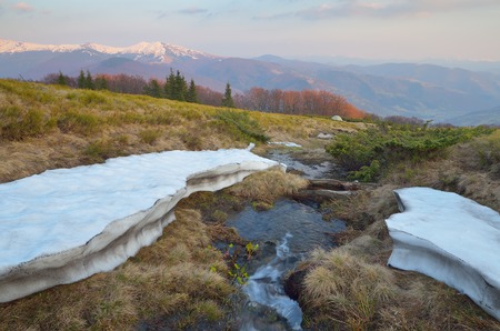 Spring landscape with a creek in the mountains  Carpathians, Ukraineの写真素材